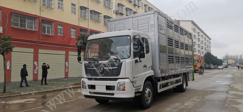 東風(fēng)天錦6.8米畜禽運(yùn)輸車（運(yùn)豬車）